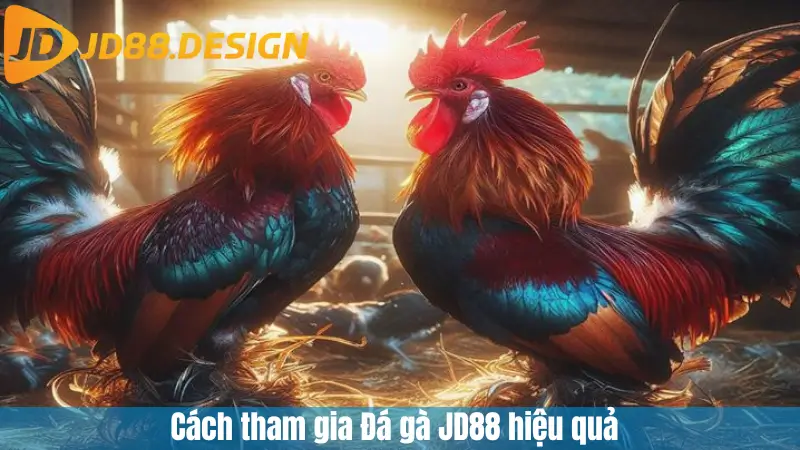 Cách tham gia Đá gà JD88 hiệu quả