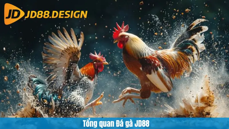 Tổng quan Đá gà JD88